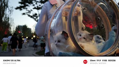 Так снимает лучший камерофон Xiaomi. Снимки, сделанные на камеру Xiaomi 12S Ultra с дюймовым датчиком