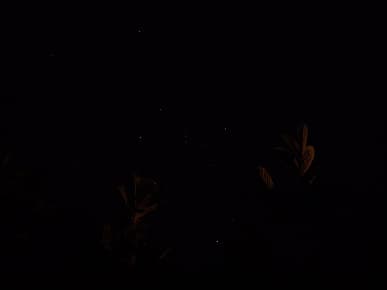 Что ждать от ночной съемки Galaxy S23 Ultra? Примеры реальных, а не рекламных фото