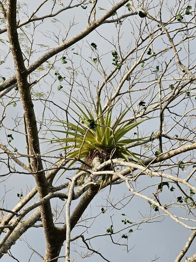 Луна с 30-кратным зумом, режим ночной съемки и примеры дневной съемки. Новые фото, демонстрирующие возможности Samsung Galaxy S23 – базовой модели линейки