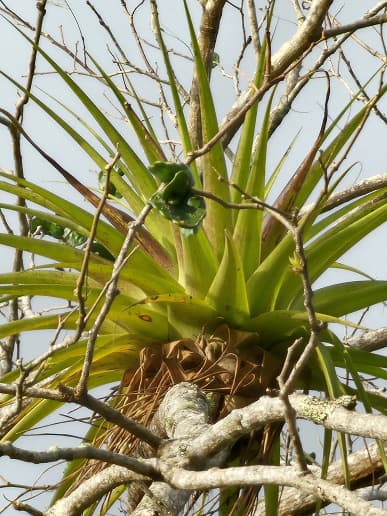 Луна с 30-кратным зумом, режим ночной съемки и примеры дневной съемки. Новые фото, демонстрирующие возможности Samsung Galaxy S23 – базовой модели линейки