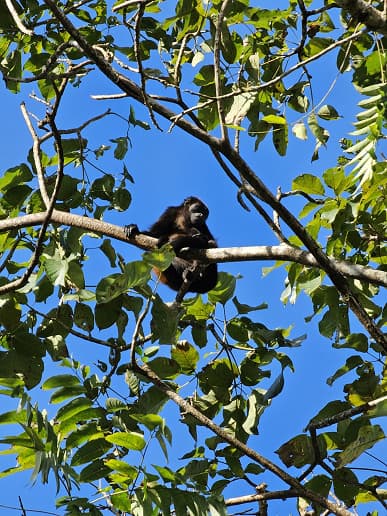 Луна с 30-кратным зумом, режим ночной съемки и примеры дневной съемки. Новые фото, демонстрирующие возможности Samsung Galaxy S23 – базовой модели линейки