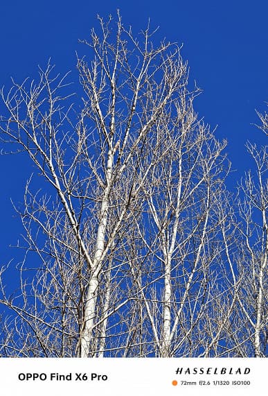 Так снимает претендент на звание лучшего камерофона в мире. Реальные (а не рекламные) фото, сделанные на камеру Oppo Find X6 Pro
