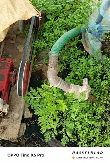 Так снимает претендент на звание лучшего камерофона в мире. Реальные (а не рекламные) фото, сделанные на камеру Oppo Find X6 Pro