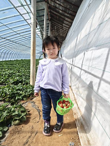Так снимает претендент на звание лучшего камерофона в мире. Реальные (а не рекламные) фото, сделанные на камеру Oppo Find X6 Pro