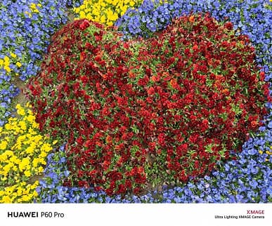 На что способна камера Huawei P60 Pro? Много примеров дневной и ночной съемки с основной камеры флагмана