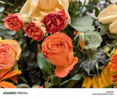 На что способна камера Huawei P60 Pro? Много примеров дневной и ночной съемки с основной камеры флагмана