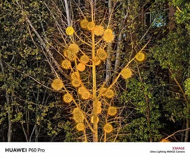 На что способна камера Huawei P60 Pro? Много примеров дневной и ночной съемки с основной камеры флагмана