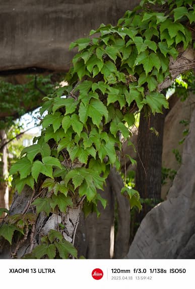 Так снимают разные камеры Xiaomi 13 Ultra. Огромная подборка реальных (а не рекламных) фото