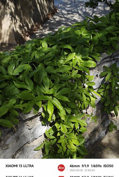 Xiaomi 13 Ultra против Samsung Galaxy S23 Ultra. Появились первое сравнение камер двух флагманов