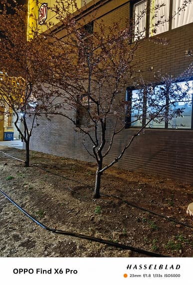 Лучший в мире камерофон Oppo Find X6 Pro и Samsung Galaxy S23 Ultra, занимающий 13 место, сравнили после обновления камер