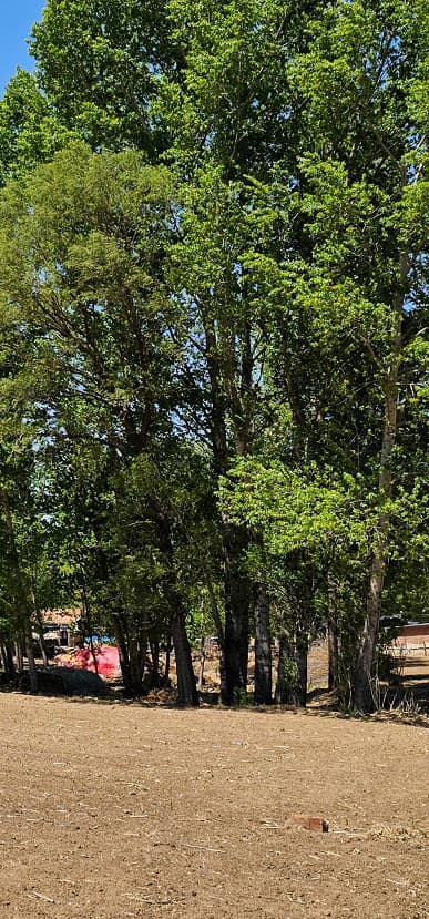 Современный камерофон против полнокадровой камеры. Sony Alpha 7R V сравнили с Samsung Galaxy S23 Ultra, Xiaomi 13 Ultra и Oppo Find X6 Pro