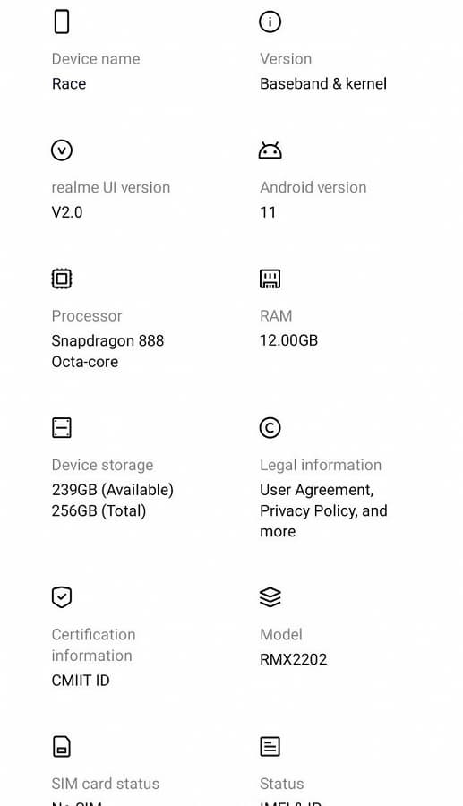 Живое фото одного из первых смартфонов на SoC Snapdragon 888 — Realme Race