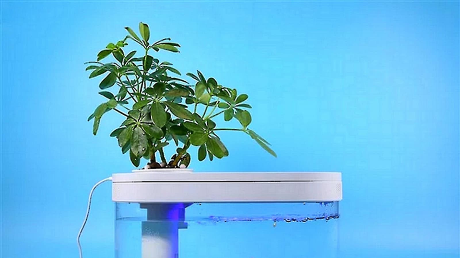 Представлен необычный аквариум Xiaomi Fish Tank