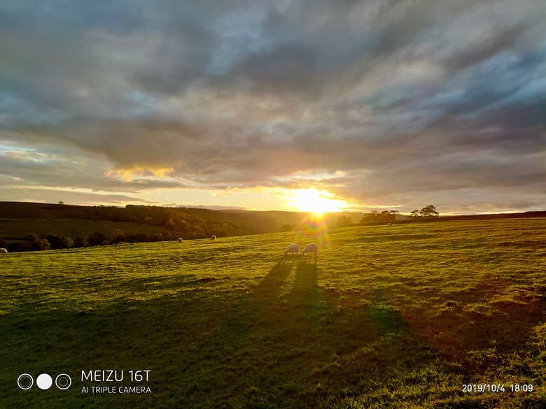 Возможности Meizu 16T при контровом свете Возможности Meizu 16T при контровом свете