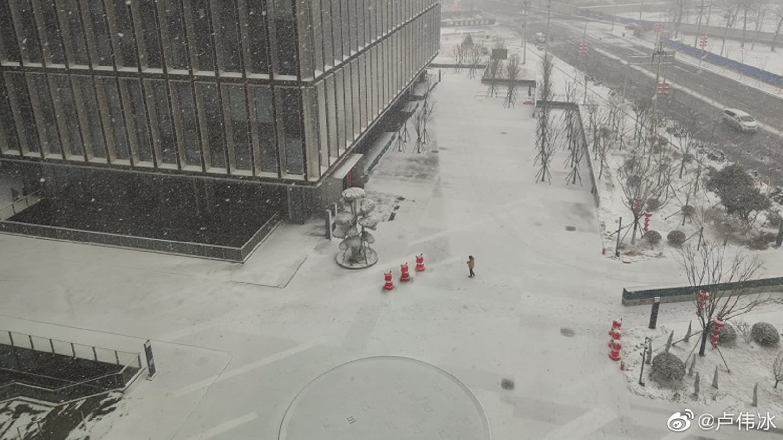 Лидер Redmi тестирует суперзум Xiaomi Mi 10 Pro на фирменных кроликах