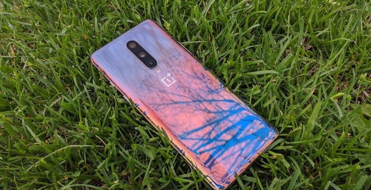 OnePlus объявила сроки прекращения поддержки OnePlus 8 и Nord