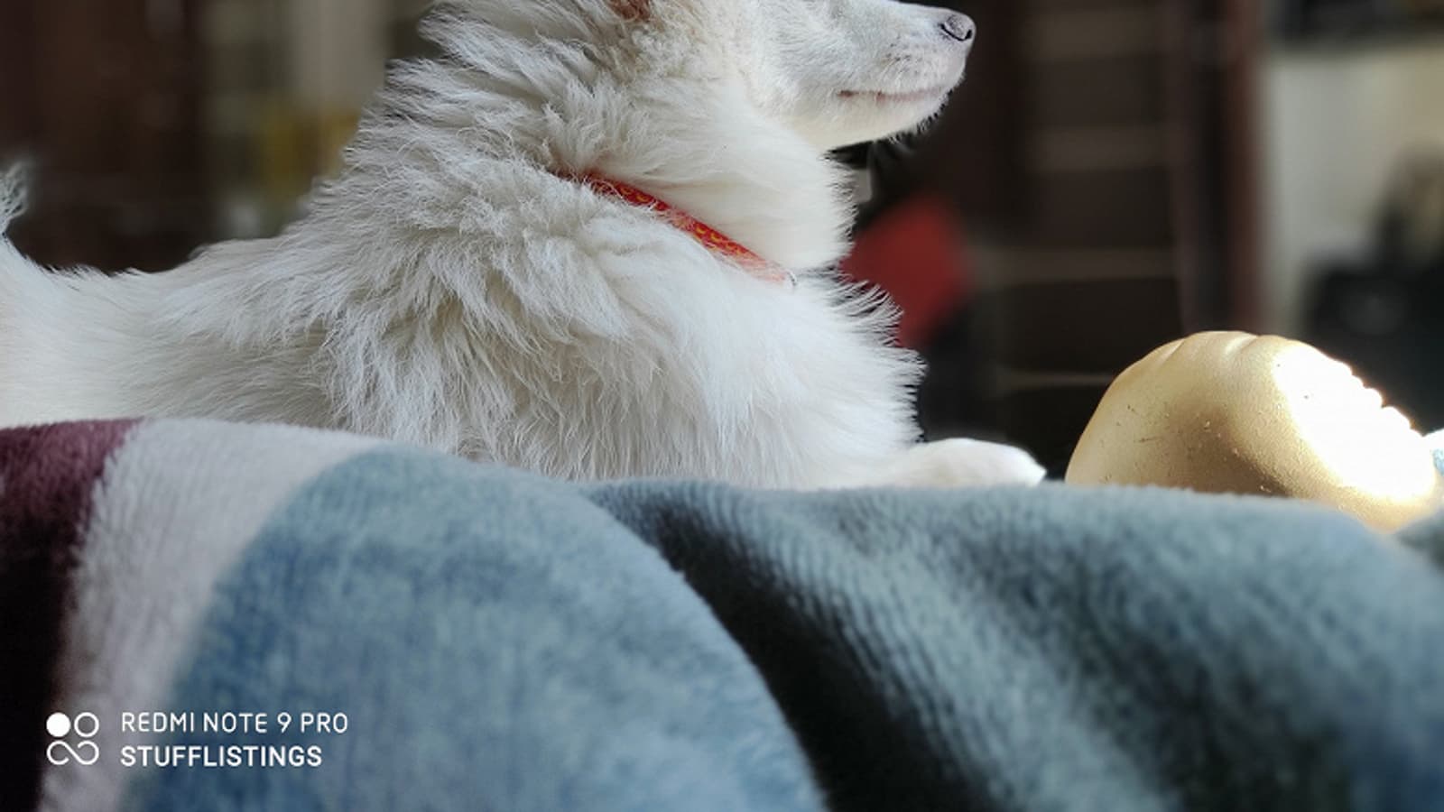 На что способна камера Redmi Note 9 Pro