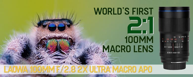 Полнокадровый объектив Laowa 100mm f/2.8 2X Ultra Macro APO стал доступен в вариантах с креплениями Canon RF и Nikon Z Полнокадровый объектив Laowa 100mm f/2.8 2X Ultra Macro APO стал доступен в вариантах с креплениями Canon RF и Nikon Z