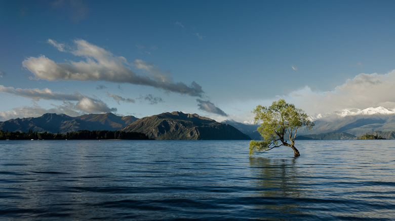Microsoft анонсировала «Планетарный компьютер»