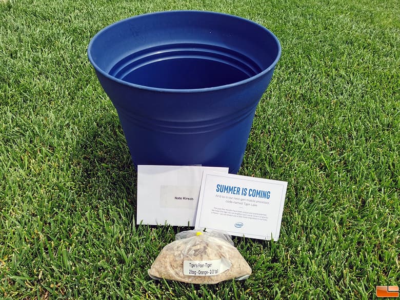 Intel отправила журналистам горшки и лилии. Это приглашение на анонс процессоров Tiger Lake