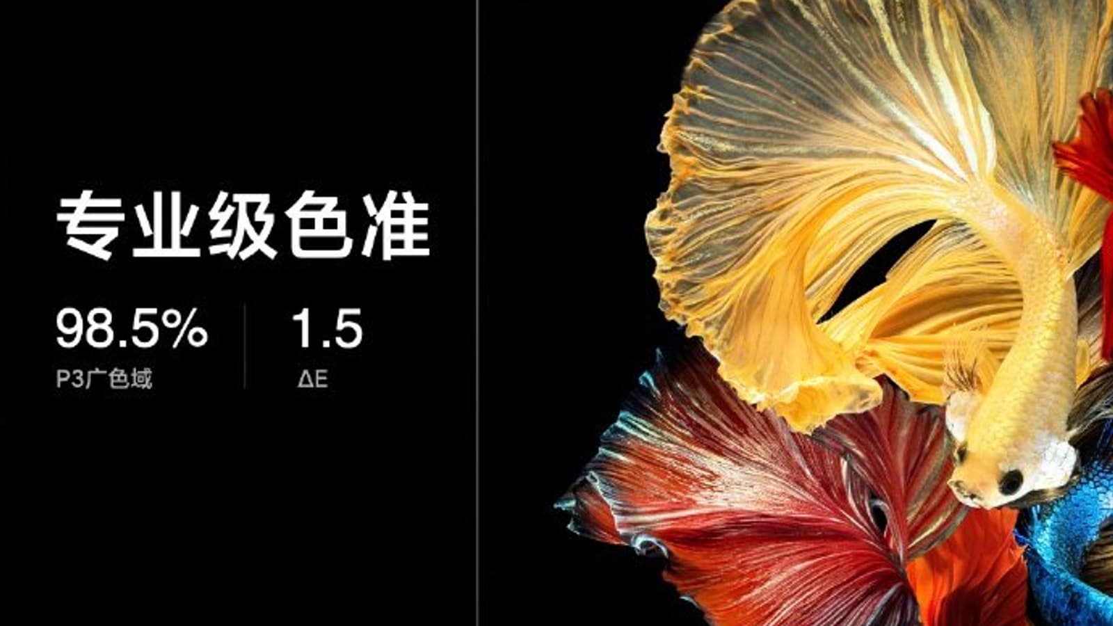 OLED, 65 дюймов, 4K, 120 Гц, HDR и HDMI 2.1 за $1840. Представлен первый OLED-телевизор Xiaomi