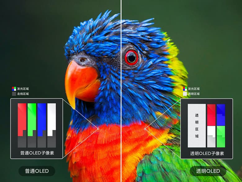Xiaomi раскрыла главный секрет своего прозрачного телевизора