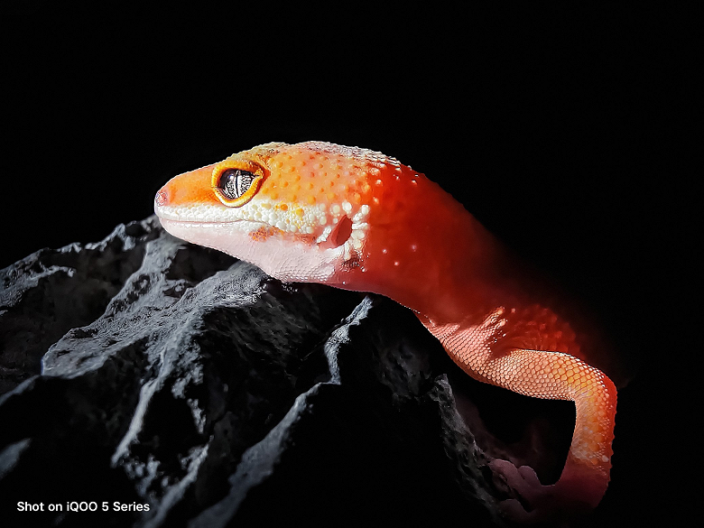 Удивительно красивые фотографии с камеры Iqoo 5