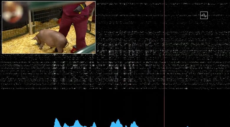 Илон Маск представил усовершенствованный интерфейс мозг-компьютер — Neuralink V2