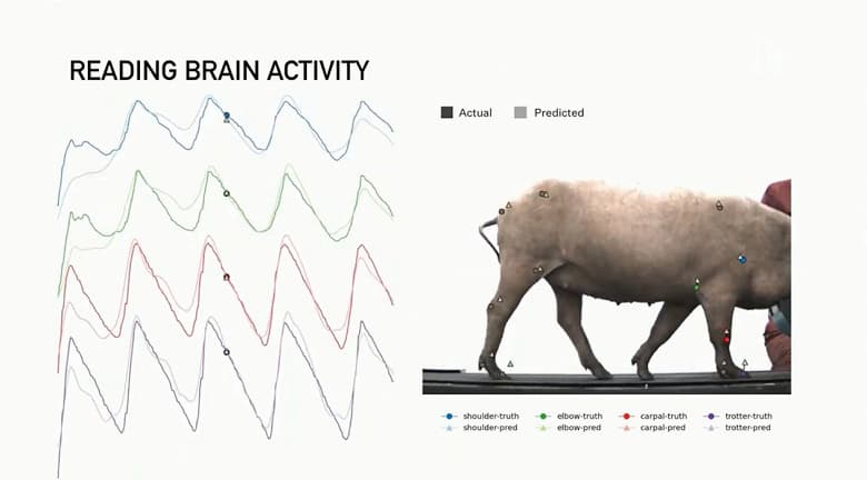 Илон Маск представил усовершенствованный интерфейс мозг-компьютер — Neuralink V2