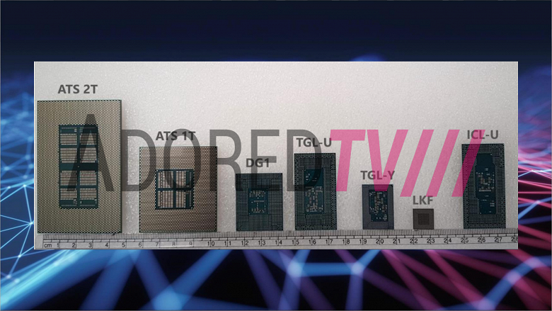 «Семейная» фотография GPU Intel нового поколения. На снимке можно увидеть сразу несколько продуктов на архитектуре Xe