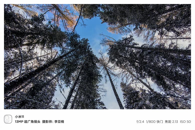 Красочный ролик в духе National Geographic, снятый на камеру Xiaomi Mi 11