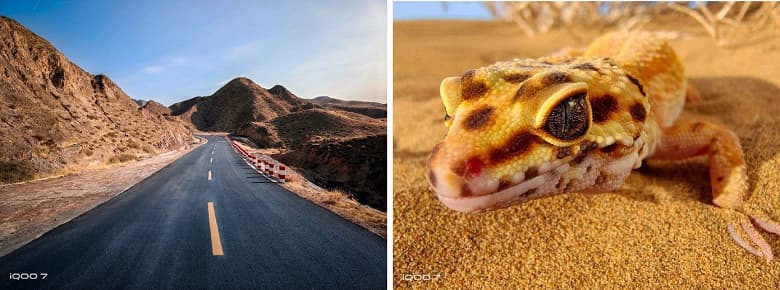 Возможности камеры iQOO 7 при обычной и макросъёмке Возможности камеры iQOO 7 при обычной и макросъёмке