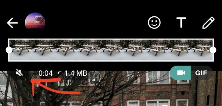 Как стать приятным собеседником в WhatsApp: теперь можно удалить раздражающий звук перед оправкой ролика