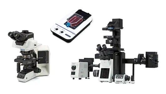 Olympus рассматривает возможность продажи подразделения, занятого выпуском научного оборудования и приборов Olympus рассматривает возможность продажи подразделения, занятого выпуском научного оборудования и приборов