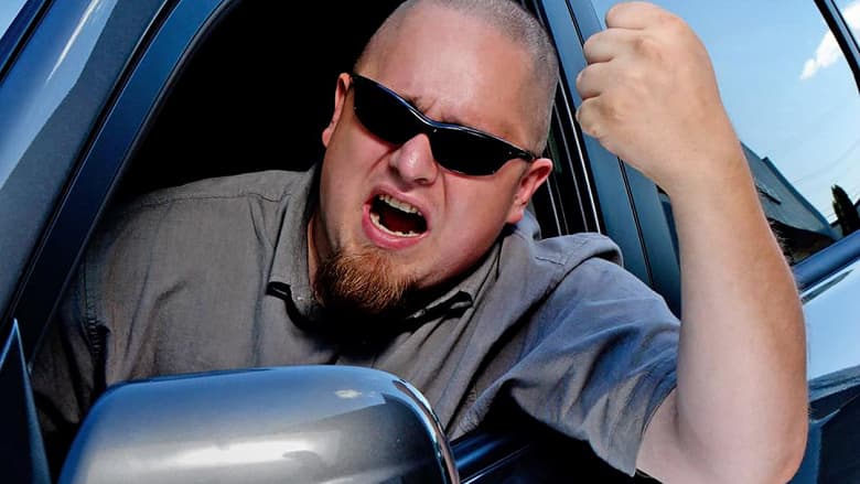 Электромобили Tesla получили «мегафон» — можно накричать на прохожего