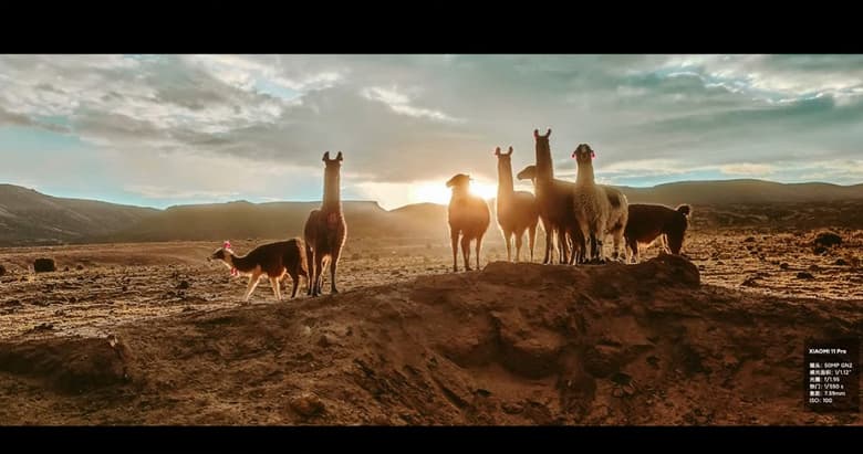 Snapdragon 888, 5000 мА·ч, 67 Вт + 67 Вт, IP68, 50 кратный зум и самый крупный датчик изображения в смартфоне. Представлен Xiaomi Mi 11 Pro