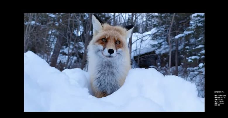 Snapdragon 888, 5000 мА·ч, 67 Вт + 67 Вт, IP68, 50 кратный зум и самый крупный датчик изображения в смартфоне. Представлен Xiaomi Mi 11 Pro