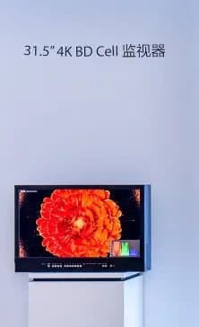 162 дюйма с подсветкой Mini LED и 110 дюймов с разрешением 8К. BOE показала новые телевизоры