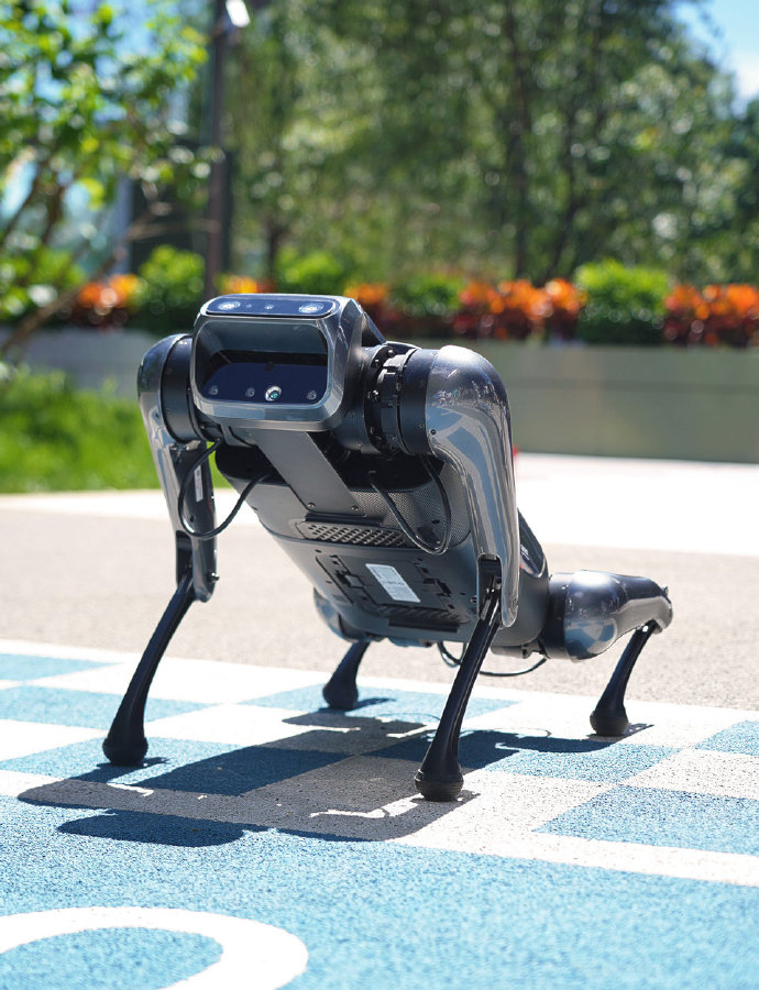 Робот-пёс Xiaomi, который стоит в 50 раз меньше знаменитого Spot от Boston Dynamic, появится в 100 магазинах Китая