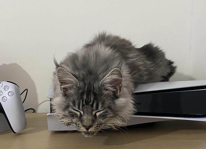 Тесты показали: «новая» облегчённая Sony PlayStation 5 оказалась не хуже «старой» PS5