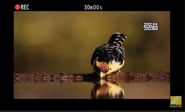 Опубликовано второе видео Nikon о камере Z9