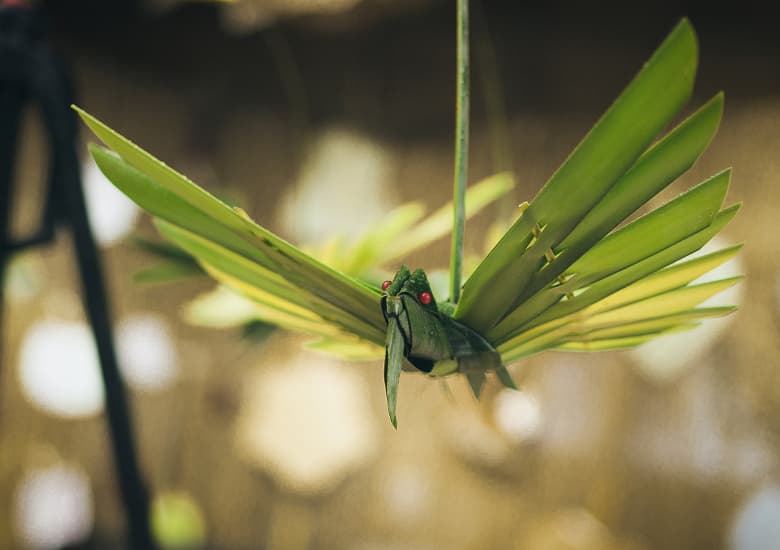 Представлен объектив TTArtisan 23mm F1.4 формата APS-C с креплением Leica L