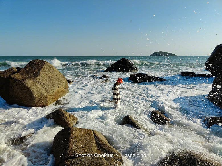 Так снимает 50-мегапиксельная камера Hasselblad 2.0. Опубликованы фото, сделанные камерой OnePlus 10 Pro