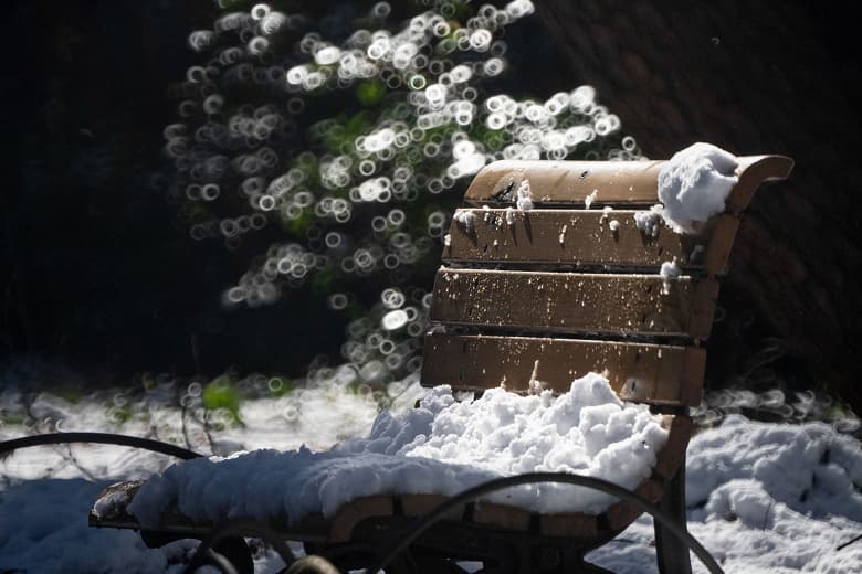 Представлен полнокадровый объектив Tokina SZ Super Tele 500mm F8 Reflex MF