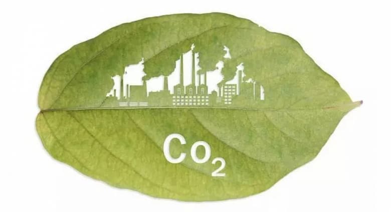 Исследование: выбросы углерода делают растительную пищу менее питательной