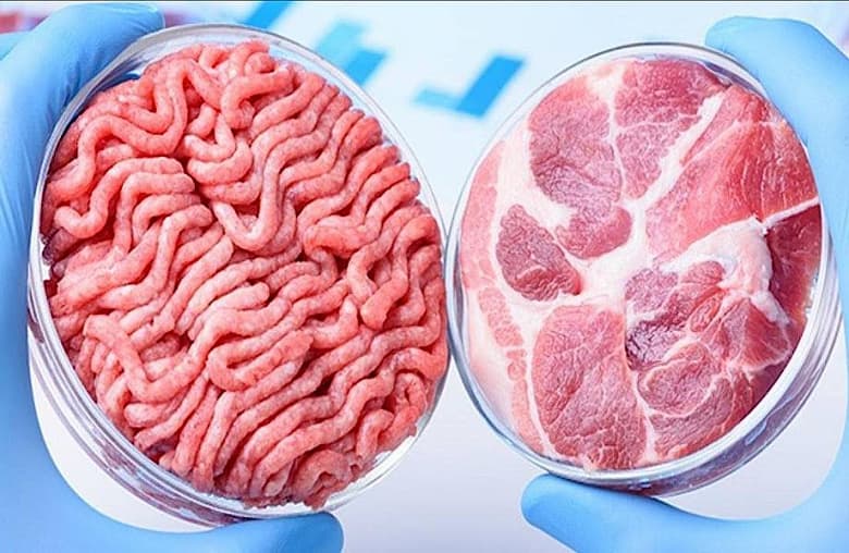 Госрегулятор США разрешил употреблять в пищу «мясо из пробирки»