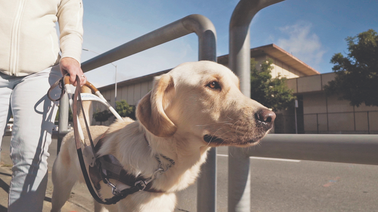 «Общаюсь только текстом»: «Яндекс Go» стал удобнее для пользователей с ограничениями по здоровью «Общаюсь только текстом»: «Яндекс Go» стал удобнее для пользователей с ограничениями по здоровью