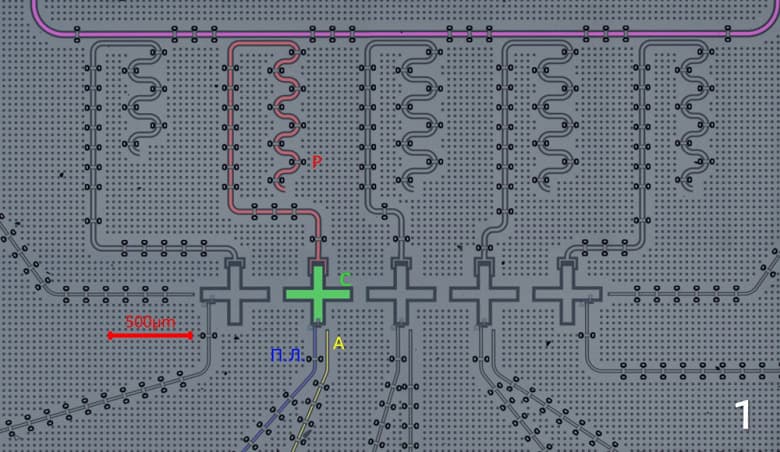 Российские учёные впервые показали действующий отечественный 4-кубитный квантовый процессор