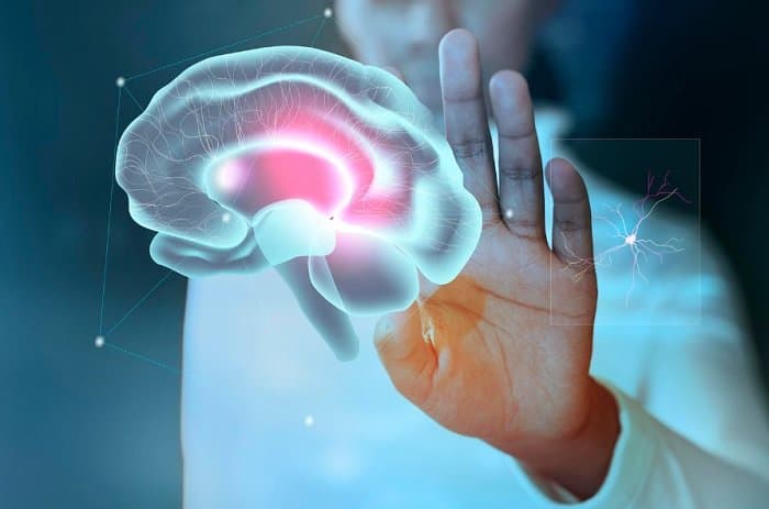 Нервные клетки не восстанавливаются? Российские учёные создали технологию обновления нервных клеток