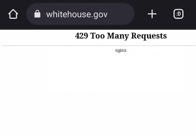 «Белый дом офлайн»: пророссийские хакеры из Killnet атаковали сайты Белого дома и Starlink